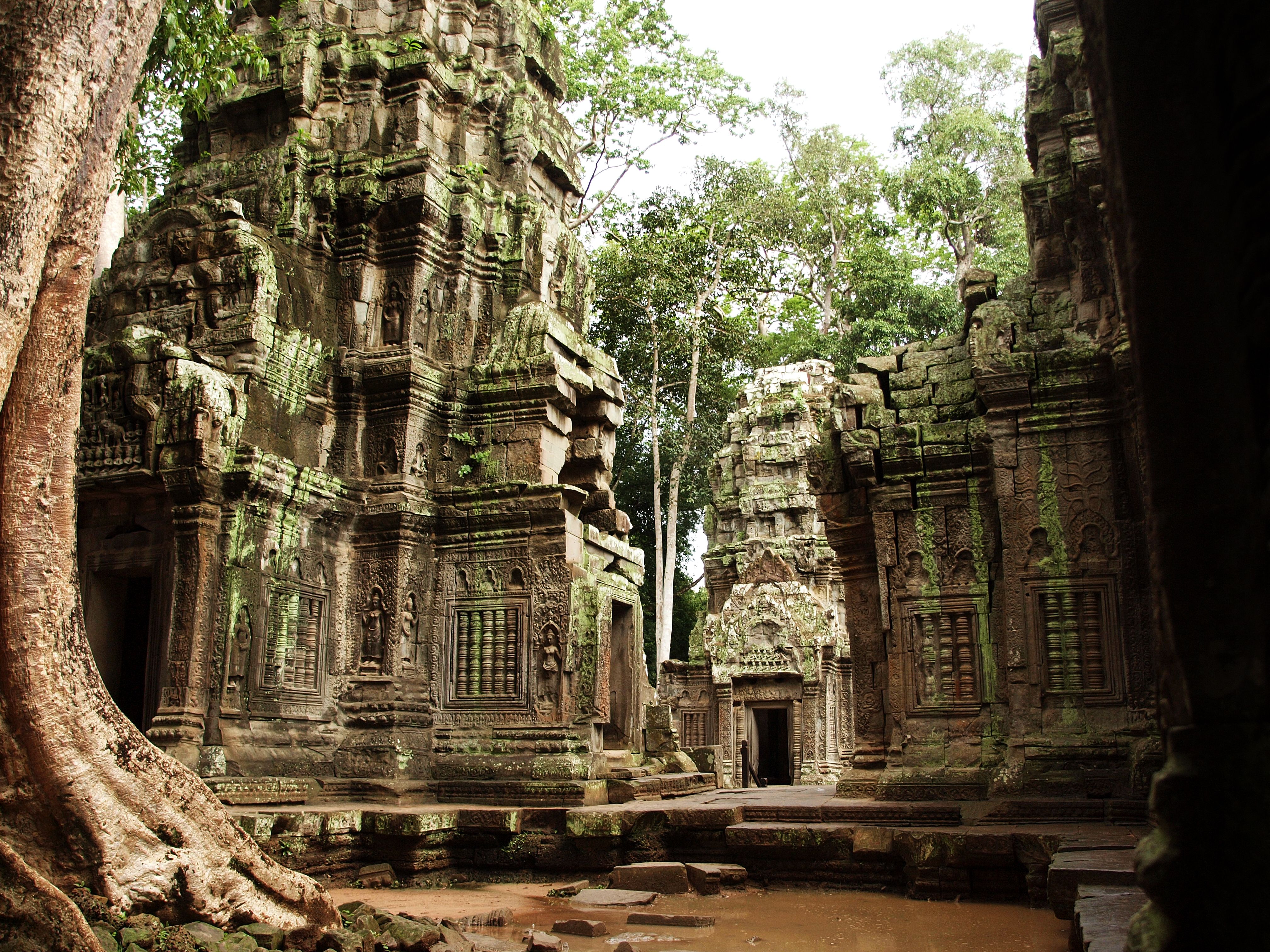 Ta Prohm, Cambodia